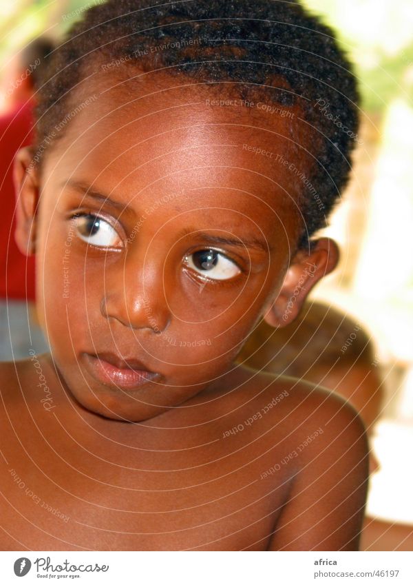 big eyes groß schwarz Kind Junge Afrika Äthiopien Treue unschuldig Sommer Physik Auge mehrfarbig Wärme