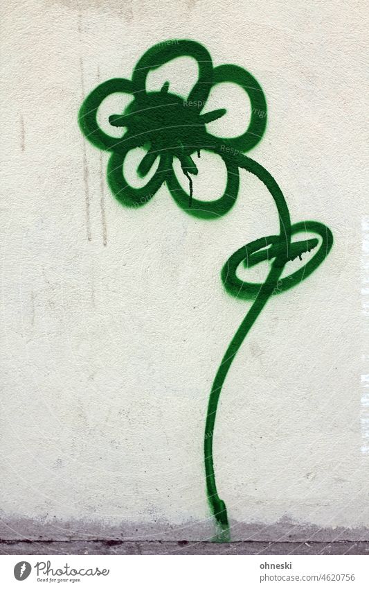 Blume als Graffiti an einer Wand streetart Fassade Straßenkunst Wandmalereien grün Hoffnung Außenaufnahme