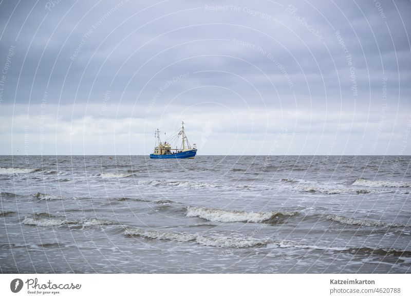 Kutter auf See fischkutter Fisch Fischereiwirtschaft fischen Nordsee Ozean Meer fangen Außenaufnahme Küste Seeufer Wasser Fischerboot Tag Farbfoto Wellen Wolken