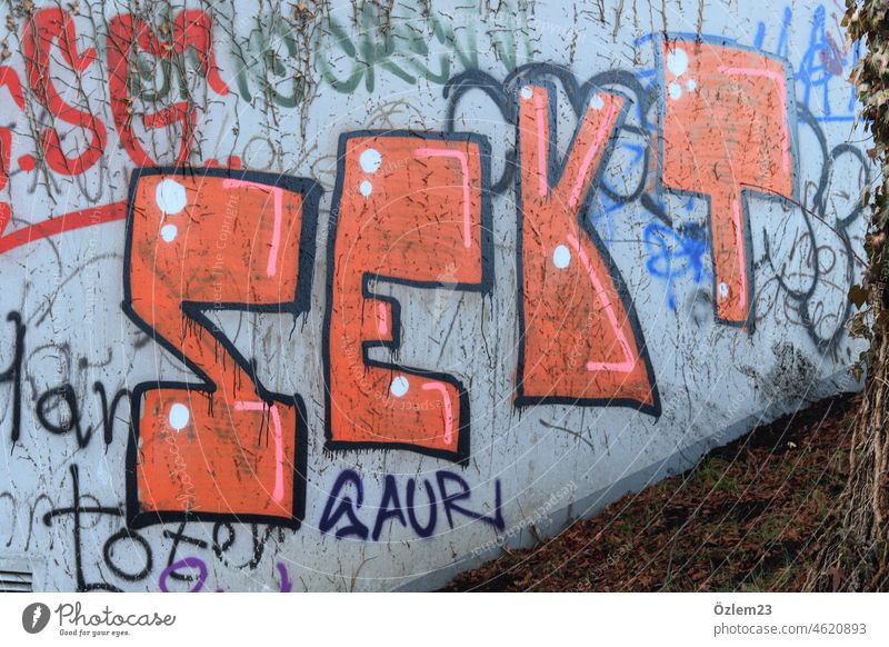Mit Sprühfarbe voll bemalte Mauer, auf der in Großbuchstaben das Wort SEKT steht Wandmalereien sprühfarbe Sprühdose Farbe Sekt Bemalung Graffiti Straßenkunst