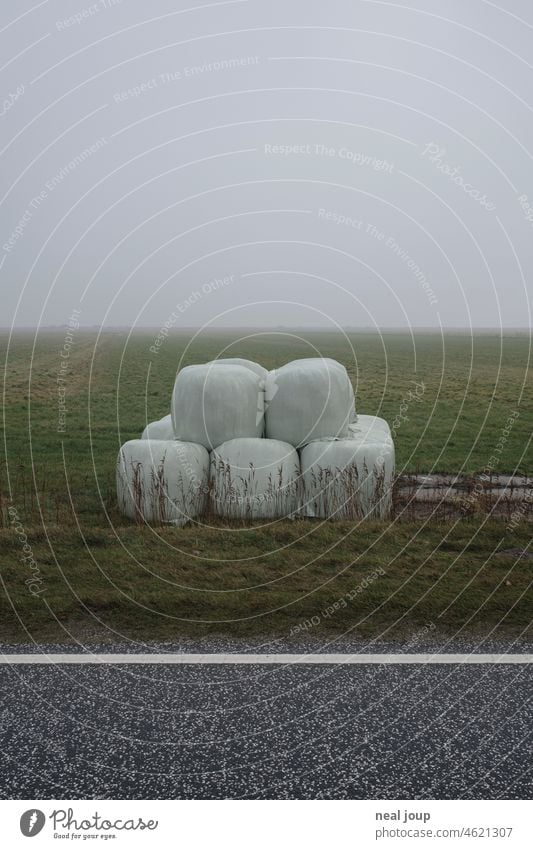 Ein Stapel in Folie verpackte Strohballen, wie riesige Marshmallows am Straßenrand Landschaft Landwirtschaft Plastikfolie Verpackung Nebel trist trashig Vorrat