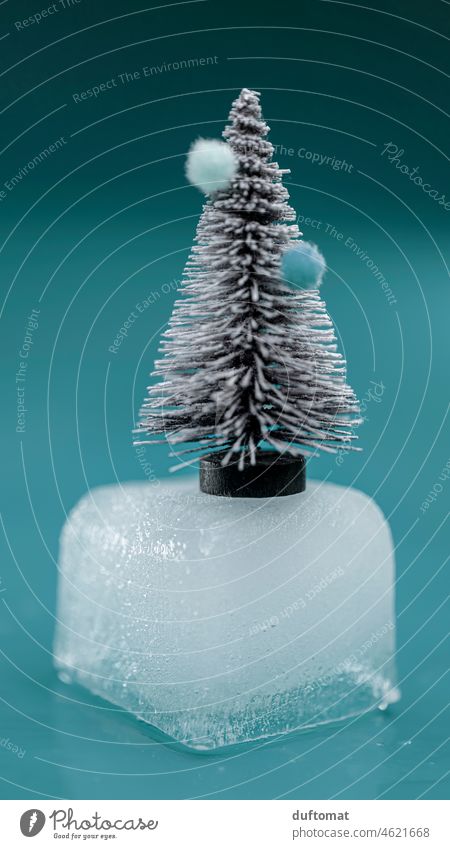 Kleiner Tannenbaum auf schmelzendem Eiswürfel Winter Klima Klimawandel Klimaschutz klimakrise Umwelt Umweltschutz umweltfreundlich Baum Modell Deko Figur