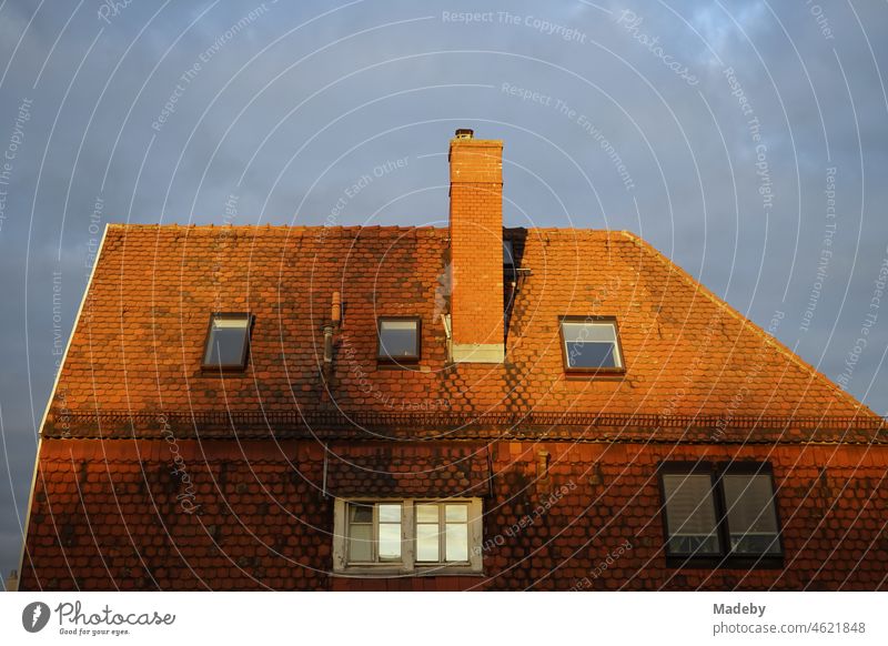 Altes Dach mit Biberschwanzschindeln und Dachfenstern einer großen Villa im Licht der untergehenden Sonne im Stadtteil Seckbach im Frankfurt am Main in Hessen