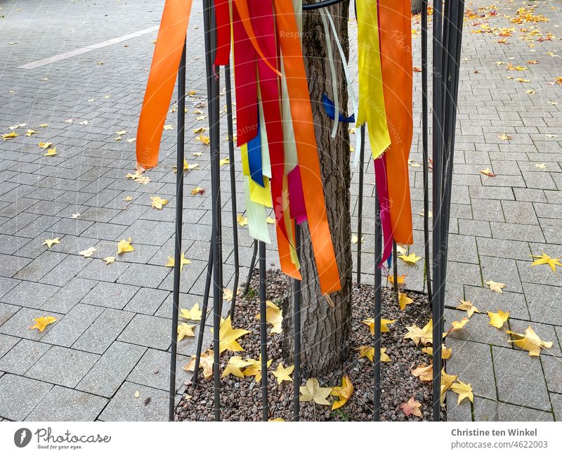 Bunte Bänder hängen an einem Baumschutzgitter, mit dem der Baumstamm vor Beschädigungen geschützt wird bunte Bänder Dekoration Dekoration & Verzierung Stadt
