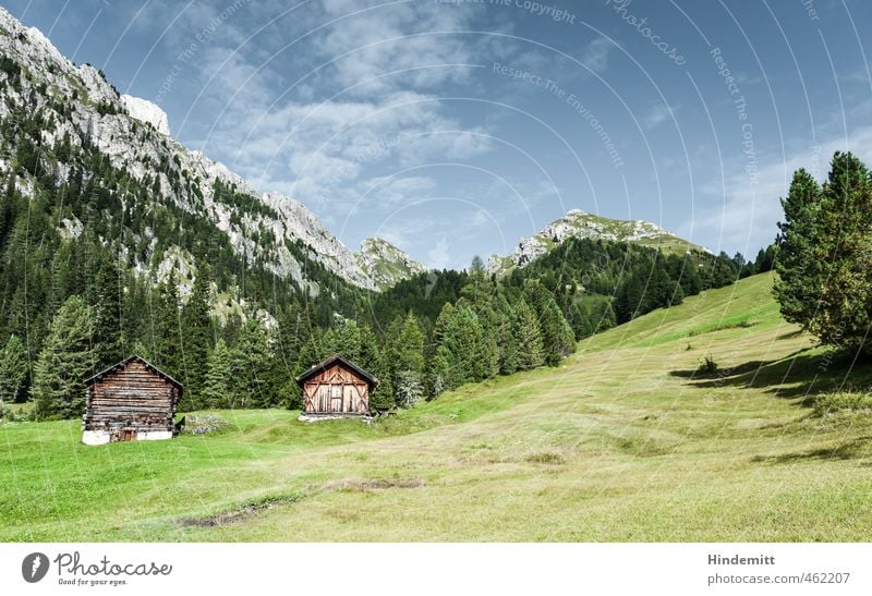 Alpine Eigenheime: Vorderansicht Ferien & Urlaub & Reisen Himmel Wolken Sommer Wetter Schönes Wetter Baum Gras Wiese Wald Hügel Felsen Alpen Berge u. Gebirge