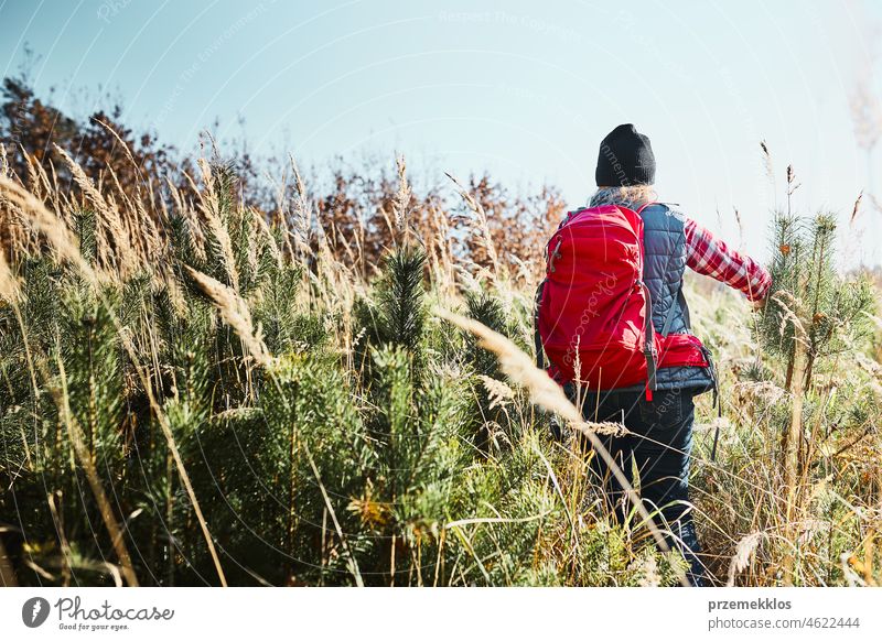 Rückansicht einer jungen Frau beim Wandern an einem sonnigen Sommertag. Frau mit Rucksack Wandern durch hohes Gras entlang Weg in den Bergen Ausflug wandern