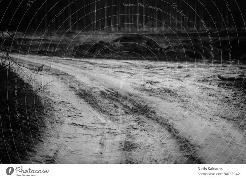 Kurve der unbefestigten Straße schwarz und weiß abstrakt Hintergrund schön Fahrrad verschwommen durchkreuzen Langlauf dunkel Design Wald grau Gesundheit