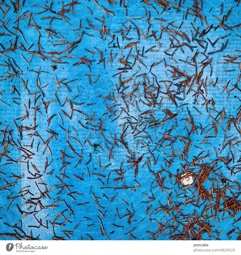 ausgelaugt | over and out blau Nadeln Tannennadeln braun verwelkt gefallen Tradition Tannenbaum vergänglich vorbei abstrakt Weihnachten Winter Plane Pflanze