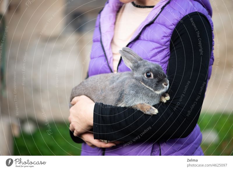 Das Mädchen mit dem Kaninchen. Frau hält niedlichen flauschigen Hasen. Freundschaft mit Osterhase. Frühling Foto.Nahaufnahme Beteiligung Hände Ostern grau