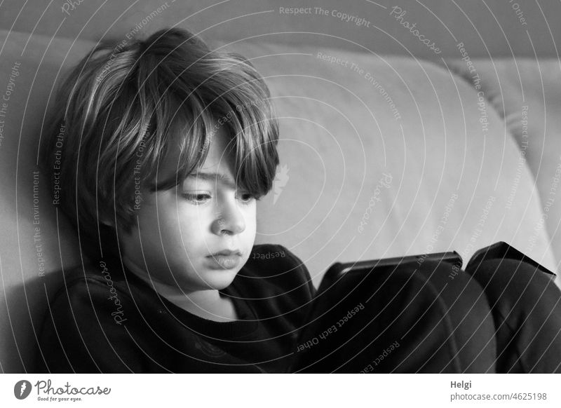 Junge sitzt auf dem Sofa und schaut konzentriert aufs Tablet Kind Schulkind sitzen schauen Medien Medienkonsum Innenaufnahme Kindheit Mensch Porträt lernen