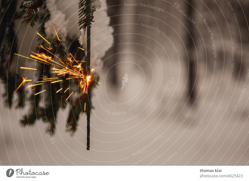 Sternspritzer auf einem Zweig sternspritzer weihnachten schnee ast zweig feuer deko feiertage