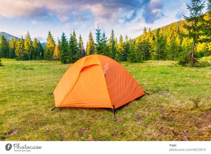 Orangefarbenes Zeltlager im grünen Wald Natur Lager schön Baum orange wandern Campingplatz gelb reisen Landschaft Berge u. Gebirge Kiefer Sommer Abend Gras Park