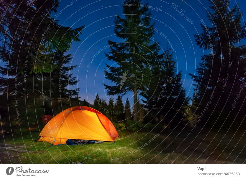 Beleuchtetes Zelt im nächtlichen Wald Nacht Berge beleuchtet Stern Natur Landschaft rot orange gelb im Freien Licht reisen Himmel Baum Gras Kiefer Sommer
