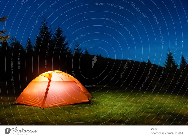 Beleuchtetes Zelt im nächtlichen Wald Nacht Berge beleuchtet Stern Natur Landschaft rot orange gelb im Freien Licht reisen Himmel Baum Gras Kiefer Sommer
