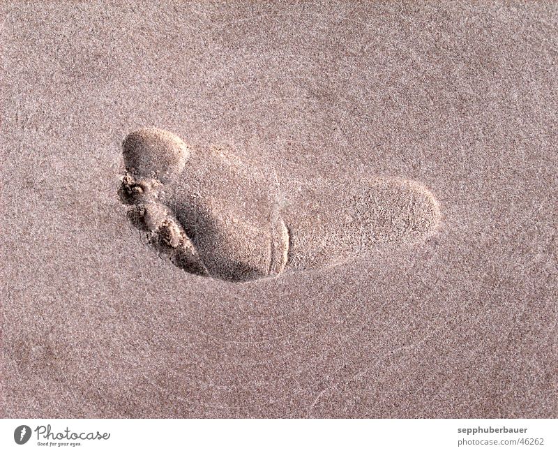 spuren im sand Strand Fuß Sand Barfuß Fußspur Surrealismus Ocker hellbraun beige Außenaufnahme Experiment Textfreiraum unten Hintergrund neutral Schatten
