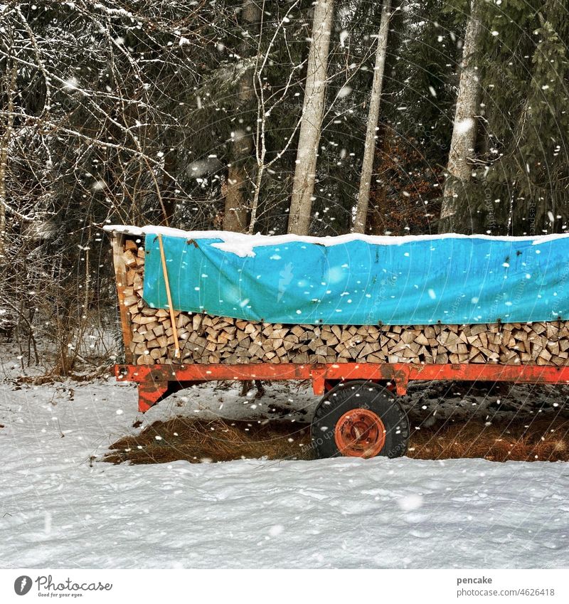 sei bereit! Wald Brennholz bereitstehen Vorrat Wagen Traktor Winter Natur Energie Holz Schnee Schneefall Schneeflocken Anhänger Plane blau Transport Umwelt