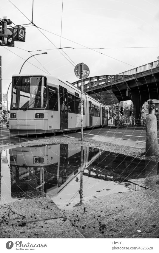 eine Straßenbahn spiegelt sich in der Pfütze Prenzlauer Berg Schönhauser Allee kastanienallee bnw s/w Winter Tram Berlin Außenaufnahme Hauptstadt Stadt