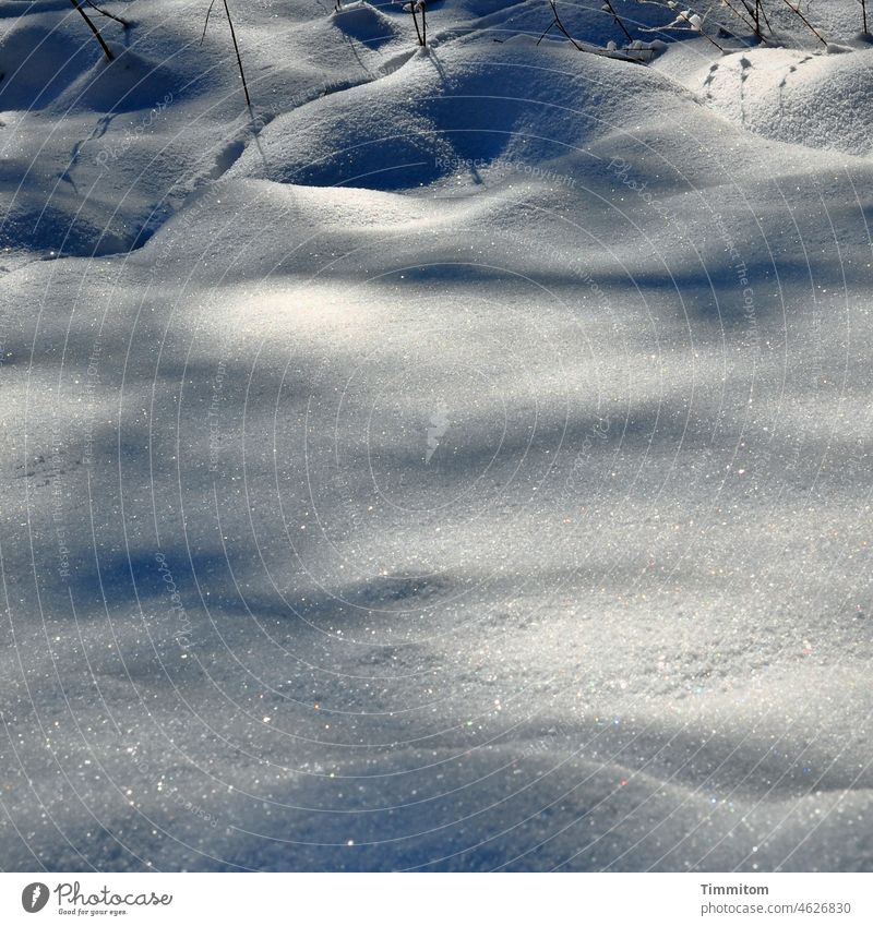 Schnee, Hügel und Halme Winter Licht Schatten Spuren kalt Natur Menschenleer Schneespur Schneedecke Tag
