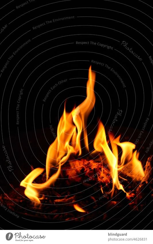 Burning bright and warm Flamme Feuer Feuerschale Pellets Holz heiß gefährlich Wärme Feuerstelle Brand Außenaufnahme brennen Glut Licht schwarz orange gelb