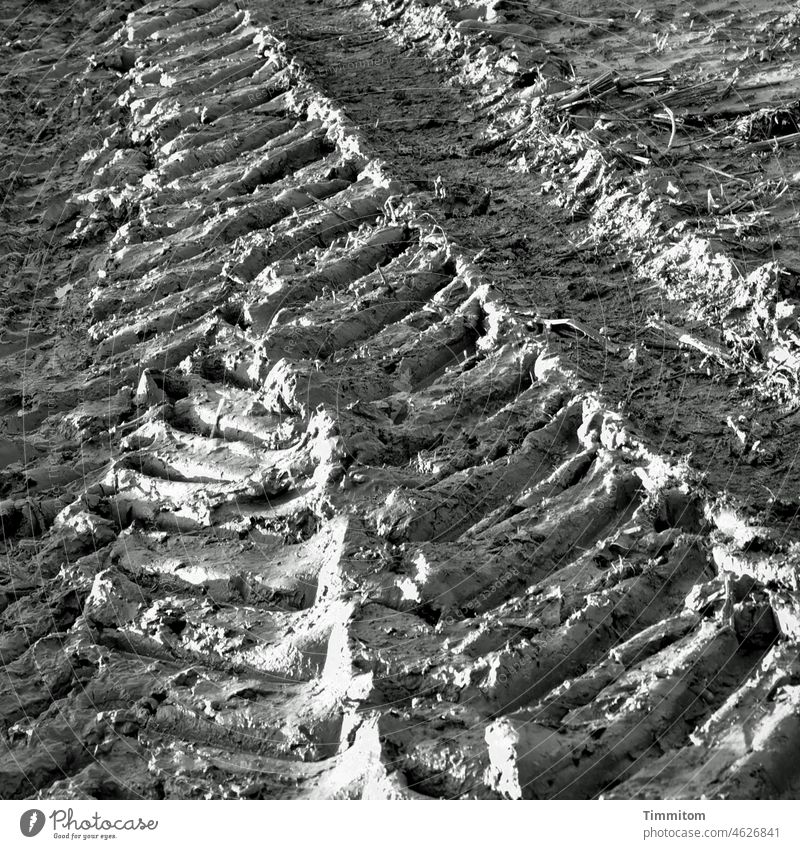 Spuren der Reifen Matsch Reifenspuren Profil Feldweg Licht Schatten Außenaufnahme Reifenprofil Menschenleer Wege & Pfade Schwarzweißfoto