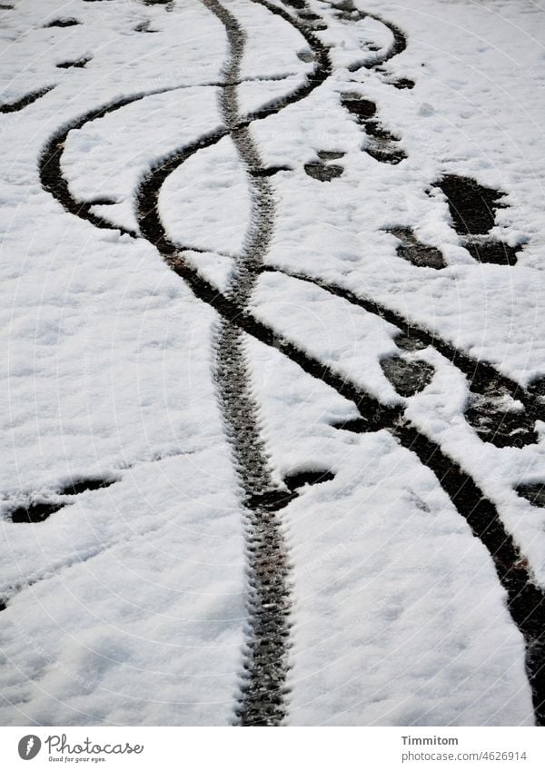 Spuren im Schnee Winter kalt Wege & Pfade Fußspuren Fußgänger Reifenspuren Reifenprofil Außenaufnahme Bewegung Linien weiß schwarz Farbfoto