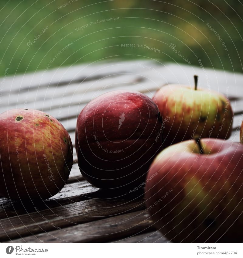 Herbstäpfel. Frucht Apfel Ernährung Häusliches Leben Gartentisch Umwelt Natur Holz liegen Duft einfach Gesundheit natürlich grün rot Gefühle Geborgenheit