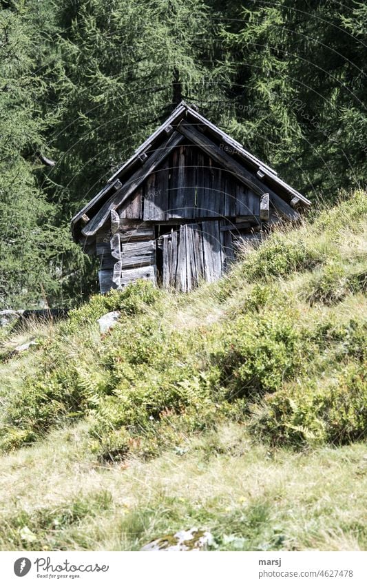 Kleine Hütte auf der Alm. Hölzern und verwittert, klein und ohne Herz an der Tür. Trotzdem ist es ein Plumpsklo. alt Einsamkeit Klischee rustikal Idylle