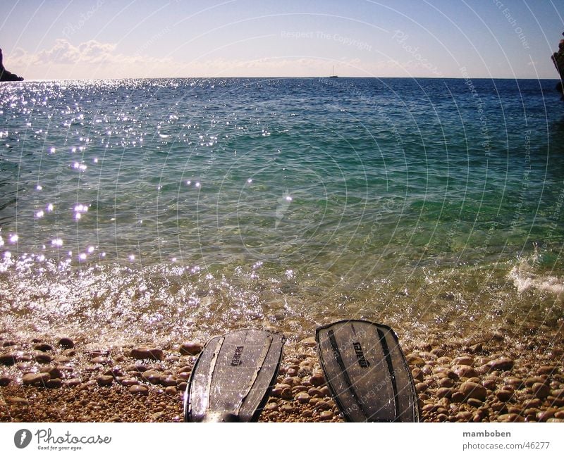 Geschafft! Strand Sommer Ferien & Urlaub & Reisen Meer tauchen Sonne Wasser