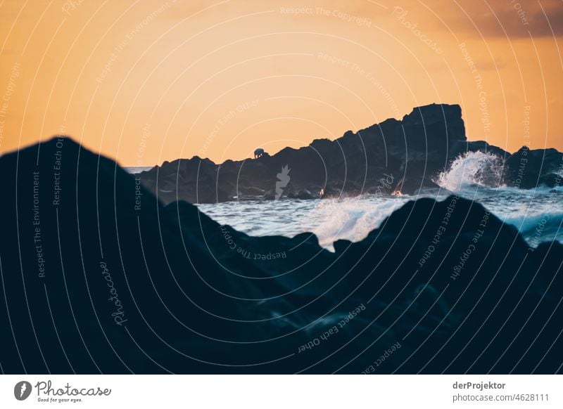 Wellen und Felsen auf den Azoren am Abend Zentralperspektive Starke Tiefenschärfe Sonnenlicht Reflexion & Spiegelung Kontrast Schatten Textfreiraum Mitte