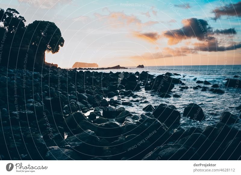 Ufer auf den Azoren während des Sonnenaufgangs Zentralperspektive Starke Tiefenschärfe Sonnenlicht Reflexion & Spiegelung Kontrast Schatten Textfreiraum Mitte