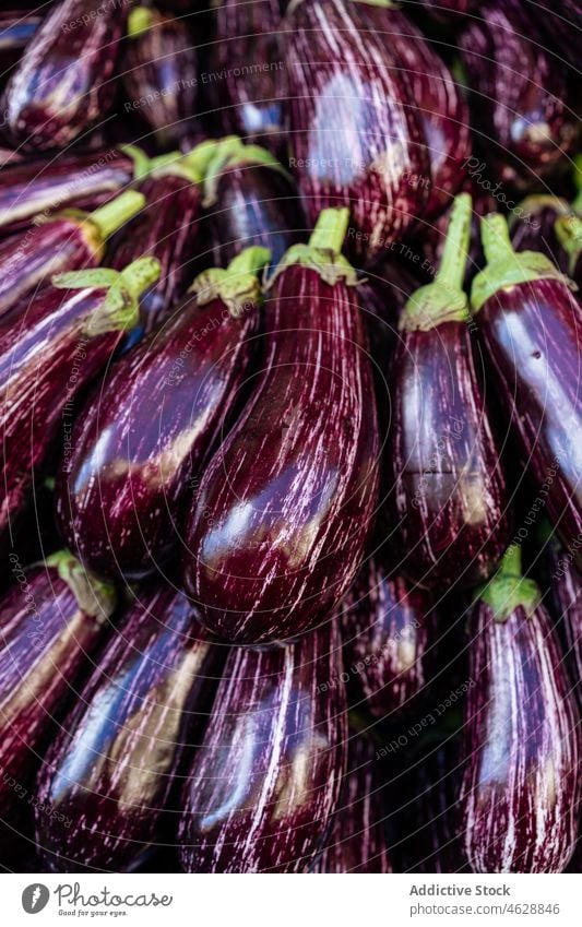 Strauß Auberginengemüse auf dem Markt Gemüse Basar purpur Lebensmittel Hintergrund Haufen Verkaufswagen organisch gesunde Ernährung verschiedene Farbe brinjal