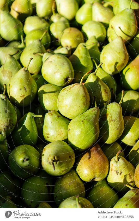 Haufen reifer grüner Birnen Frucht Stapel Markt Basar Lebensmittel Verkaufswagen gesunde Ernährung Hintergrund Vitamin organisch verschiedene Farbe ganz