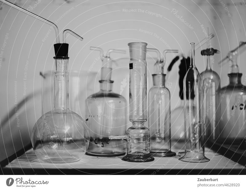 Flaschen und Kolben aus Glas in einem Labor Glasflaschen Glaskolben Untersuchung Behälter Analyse Flüssigkeit flüssig durchsichtig farblos Chemie Experiment