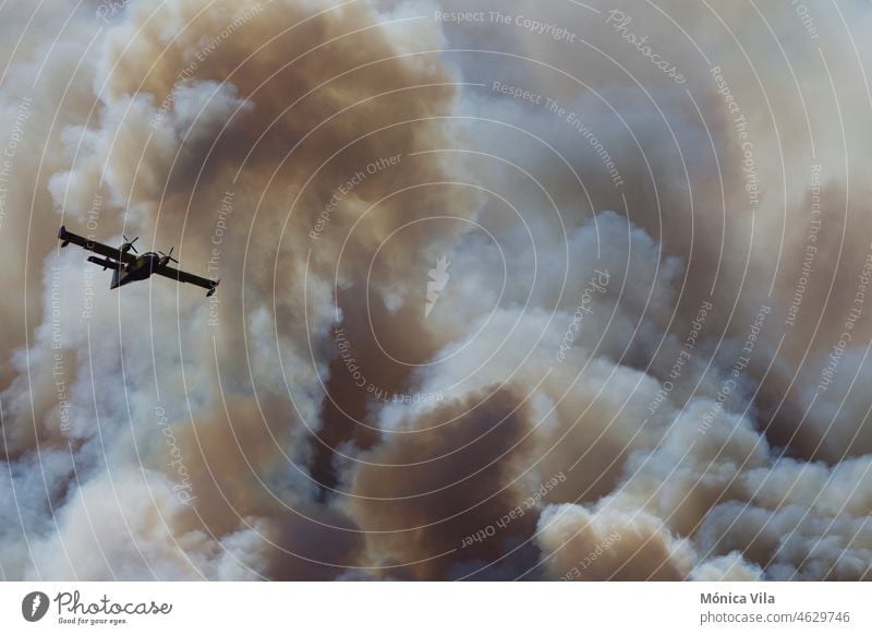 Ein Canadair CL-215-Löschflugzeug in den Wolken eines Waldbrandes Feuer Brandbekämpfung Silhouette canadair cl-215