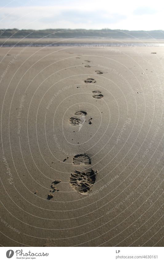 Fußabdrücke auf einem Sandstrand Erholung Ferien & Urlaub & Reisen Freiheit wandern Nordsee natürlich sehr wenige Naturschutzgebiet Oberfläche Konsistenz laufen