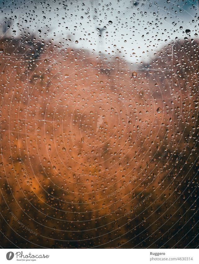 Winterwald aus dem Fenster der Seilbahn Regen Regentropfen Wald Waldgebiet kalt orange Bäume Kiefern Stimmung traurig Traurigkeit Alpen Italien