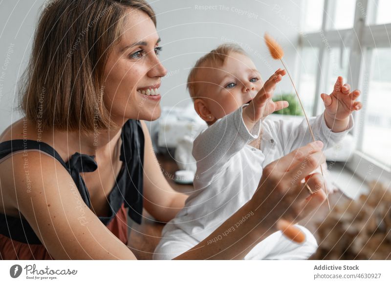 Mutter zeigt ihrem Baby eine trockene Pflanze spielerisch spielen Mutterschaft Säuglingsalter Kinderbetreuung heimwärts Zweig heimisch Liebe mütterlich Bonden