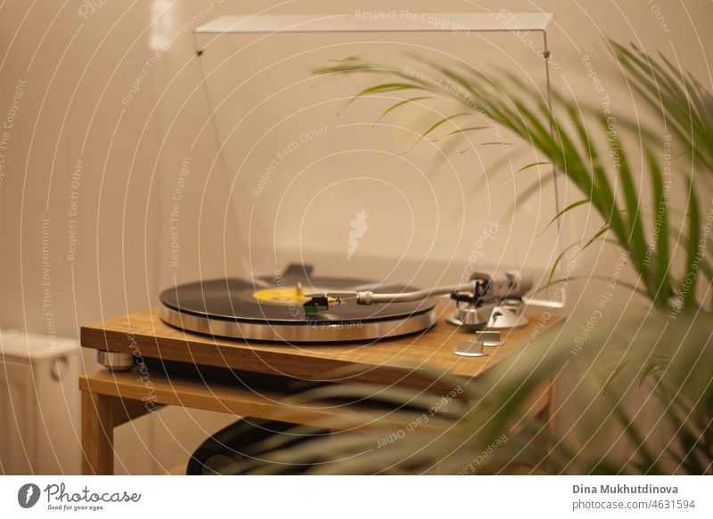 Vintage-Schallplattenspieler zu Hause mit einer Grünpflanze am Abend bei warmem Lampenlicht Vinyl altehrwürdig Musik Musikfan Technik & Technologie Palme