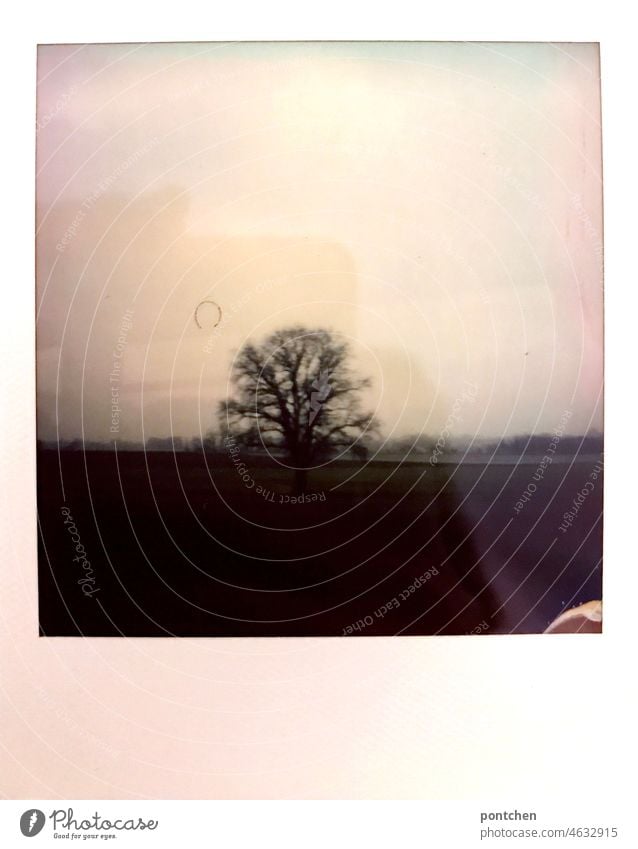 triste Landschaft im Winter durch ein Zugfenster gesehen. Polaroid polaroid winter landschaft baum zugfahren Natur spiegelung Zugreise tristesse