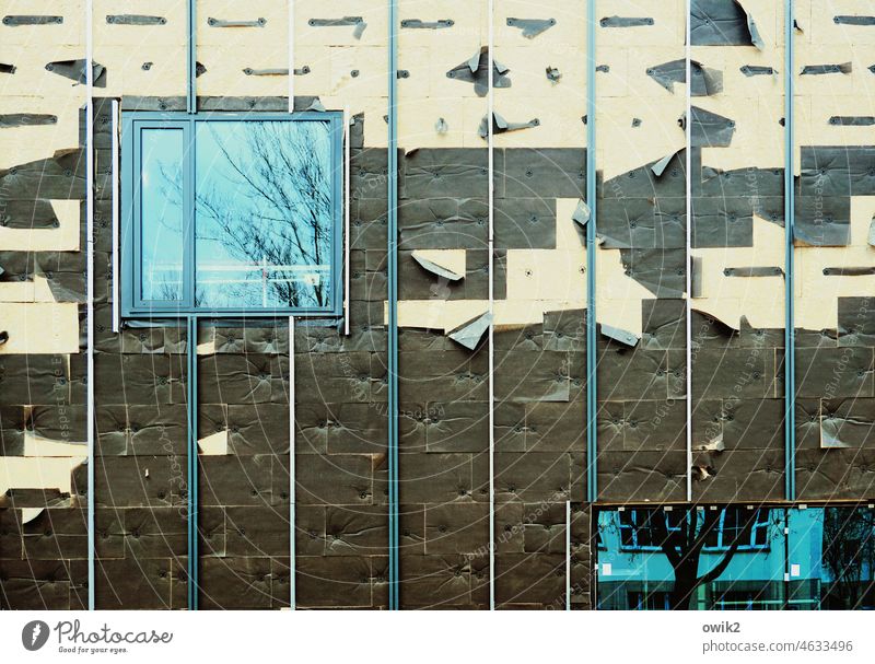 Ausschussware Wand Strukturen & Formen Detailaufnahme abgerissen Menschenleer Außenaufnahme alt trashig kaputt Vergänglichkeit Rest Fetzen abstrakt