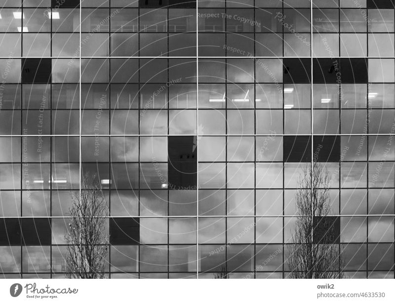 Gräulich Muster Detailaufnahme abstrakt Design Modern Art Nahaufnahme Menschenleer Strukturen & Formen mathematisch Ordnung Stil Präzision minimalistisch modern