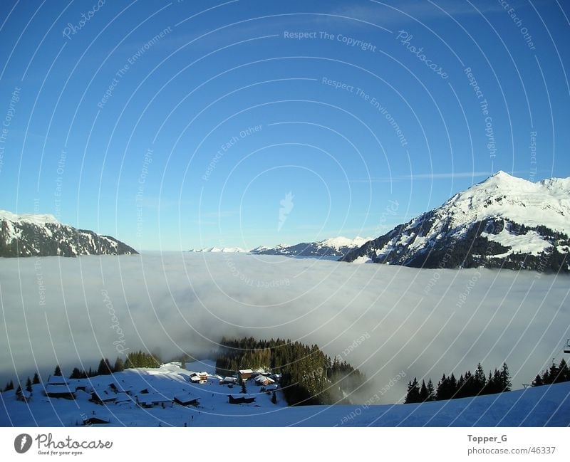 über den Wolken... Österreich Ferien & Urlaub & Reisen Außenaufnahme Himmel blau Berge u. Gebirge Alpen Schnee Freiheit