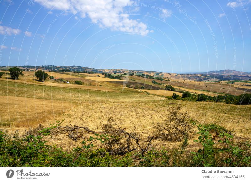 Landschaft in Molise, Italien, im Frühling Campobasso Feld gelb sonnig Natur Juni