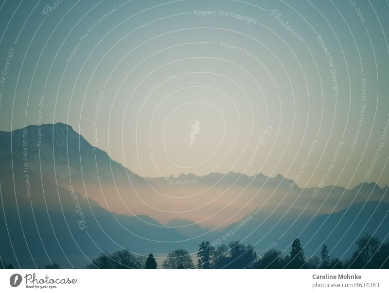 Alpenkette mit Nebelschwaden Gebirge Schweizer Alpen Stanserhorn Bäume Berge u. Gebirge Landschaft Wolken Himmel Außenaufnahme Natur Farbfoto Menschenleer