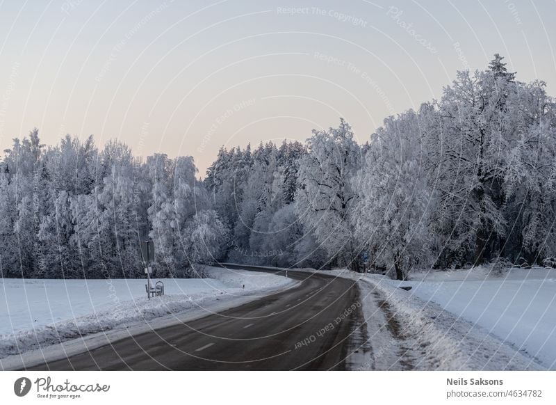 kurvenreiche Straße, frostbedeckte Bäume im Wald, Sonnenaufgang auf dem Heimweg erstaunlich Asphalt Hintergrund schön Schönheit blau Windstille kühl kalt Land