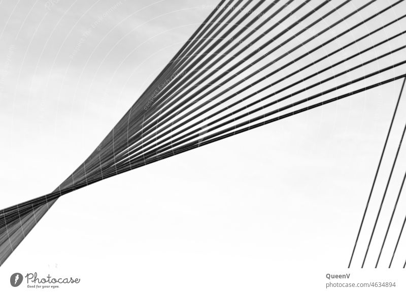 Seile einer Brücke Geometrie Schwarzweißfoto Stahlseile Strukturen & Formen Linie Muster Architektur Bauwerk Design modern minimalistisch Moderne Architektur