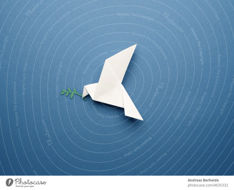 Weiße Origami-Taube auf einem blauen Papierhintergrund Freiheit Hintergrund Business Farbe Transformation Kranich Konkurrenz Konzept Frieden kreativ Kreativität