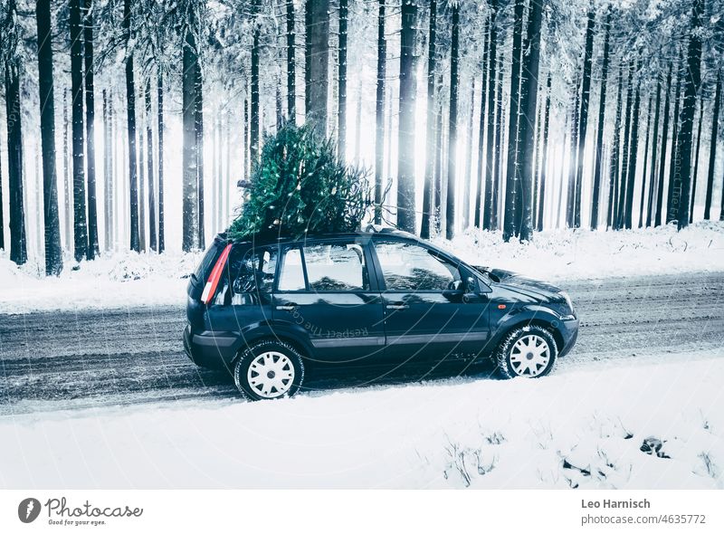 Transport von Weihnachtsbäumen Weihnachten Tanne Weihnachtsbaum Schnee Winter weiß weihnachtsfeier Lichterkette klarer Weihnachtsbeleuchtung Weihnachtsstimmung