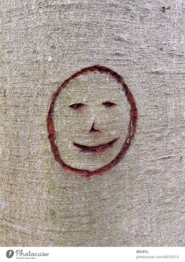 „Lächeln“ Gesicht in Baum geritzt Rinde Schnitzereien lachen Gute Laune Strichmännchen Punkt Punkt Komma Strich mondgesicht Malerei Kinder liebe natur