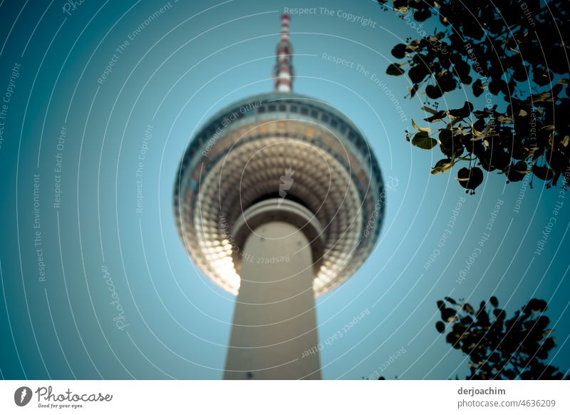Der Große Turm mit Blättern im blauen Himmel.von unten, in voller Pracht. menschenleer Tourismus architektur Hauptstadt Berlin Großstadt Platz Gebäude Fassade